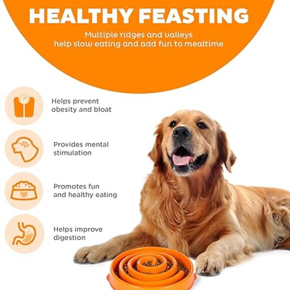 Slow Feeder: Outward Hound Fun Feeder Slo Bowl, Dog Bowl, Large - Picture 2 of 4